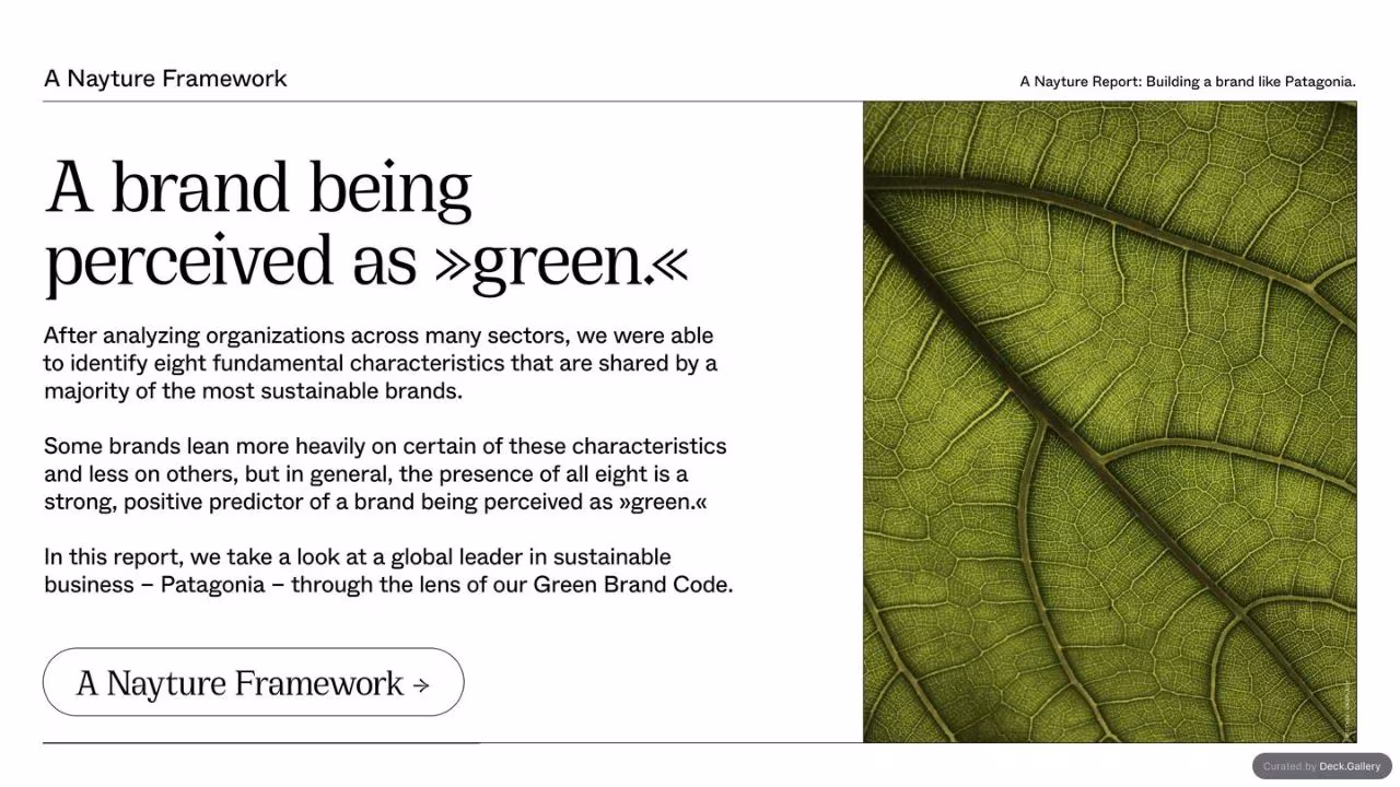 Building a Brand Like Patagonia, slide 3