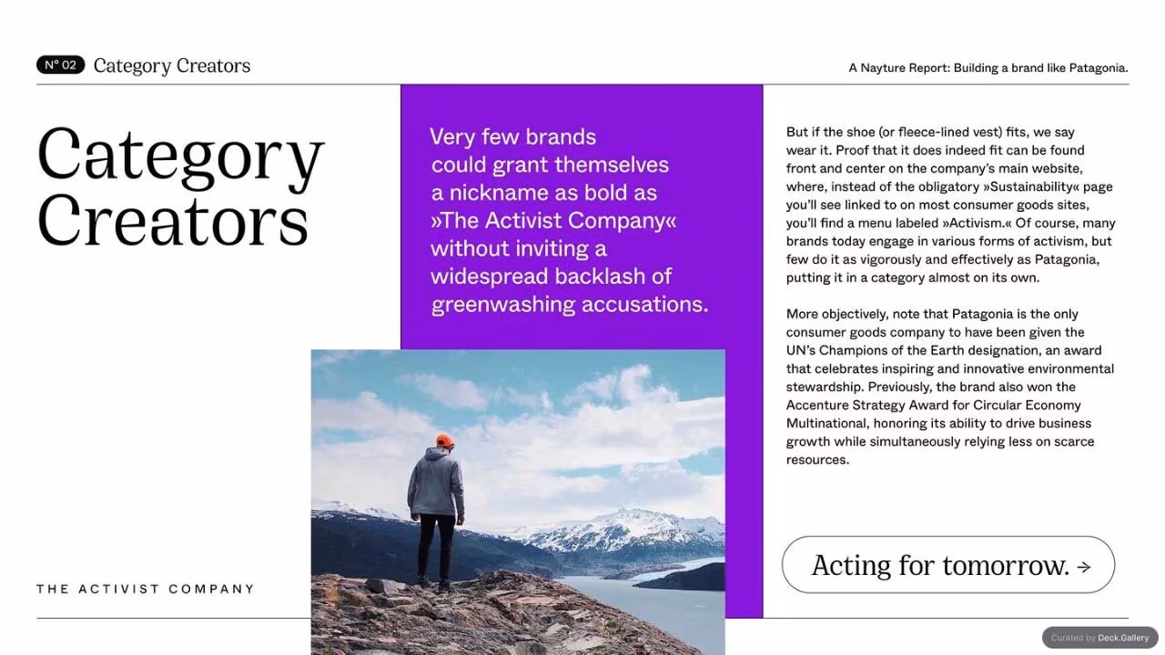 Building a Brand Like Patagonia, slide 11