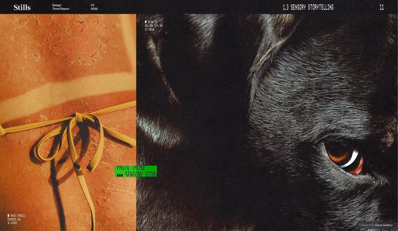 Stills Design Trend Report 2026, slide 13