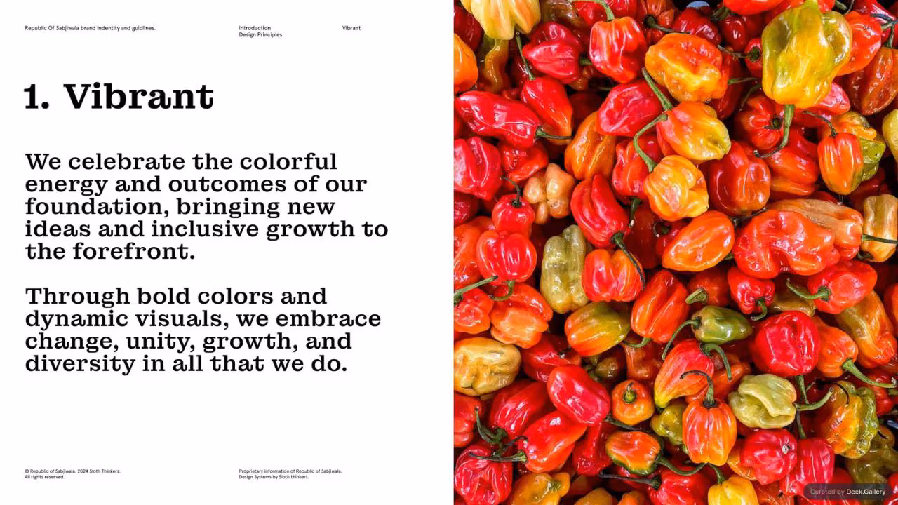 Republic of Sabjiwala Brand Guidelines 2024, slide 41