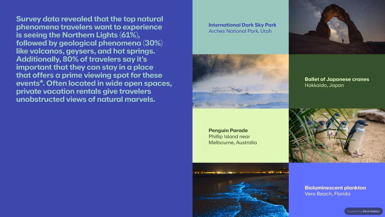 Unpack '25: The Trends in Travel, slide 19