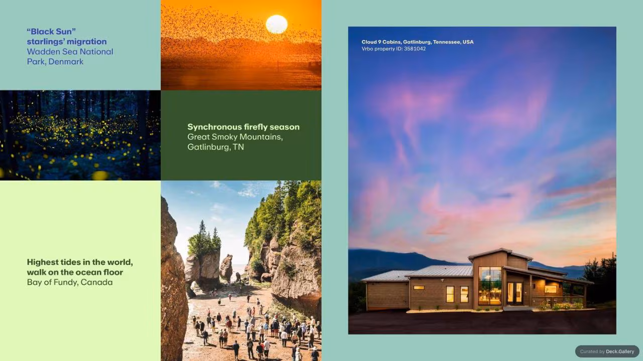 Unpack '25: The Trends in Travel, slide 20