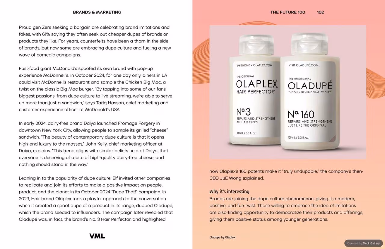 VML Intelligence The Future 100: Trends & Change to Watch in 2025, slide 102
