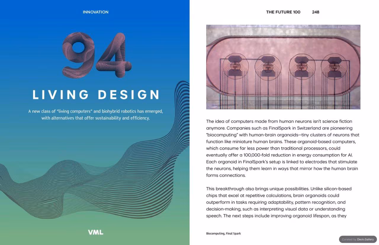 VML Intelligence The Future 100: Trends & Change to Watch in 2025, slide 248
