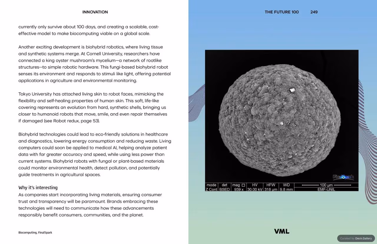 VML Intelligence The Future 100: Trends & Change to Watch in 2025, slide 249