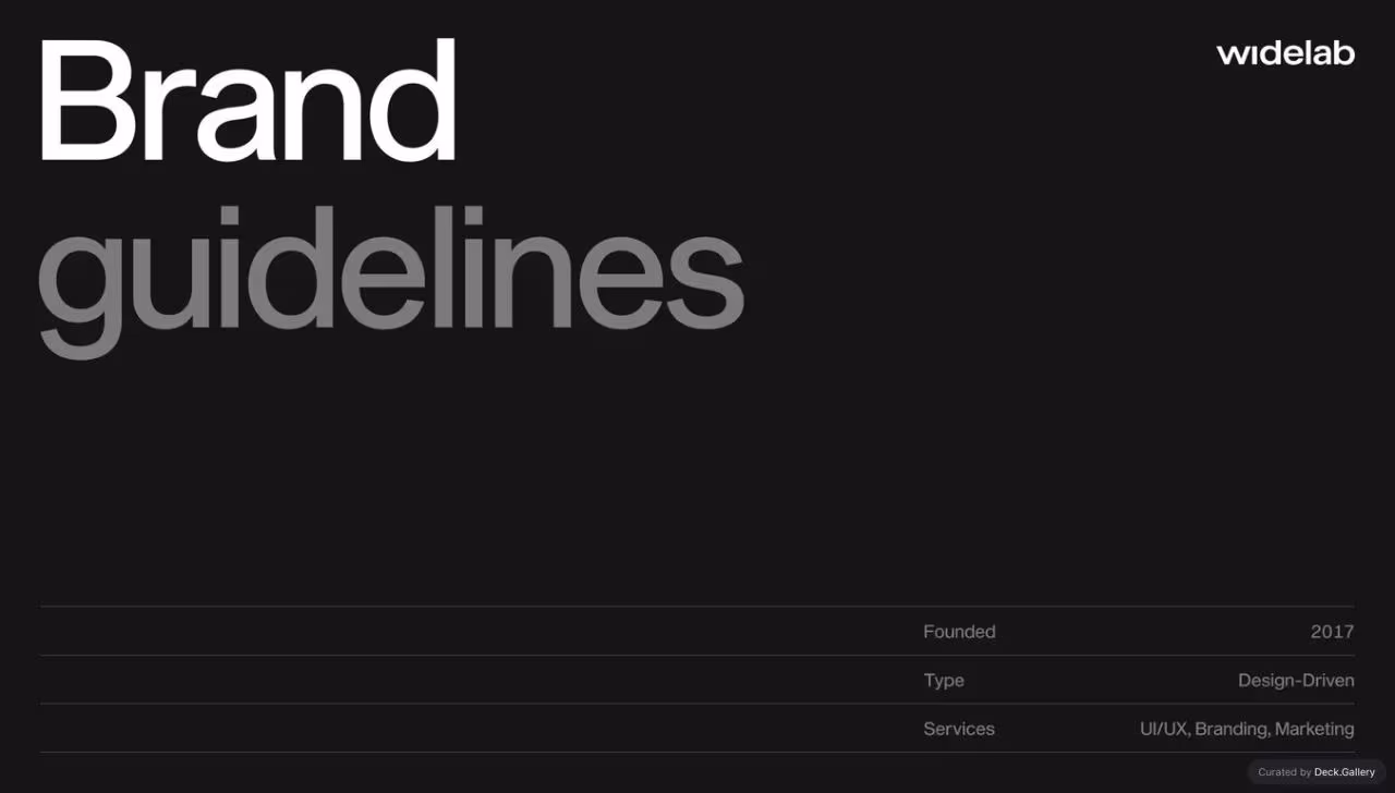Widelabs Brand Guidelines 2017