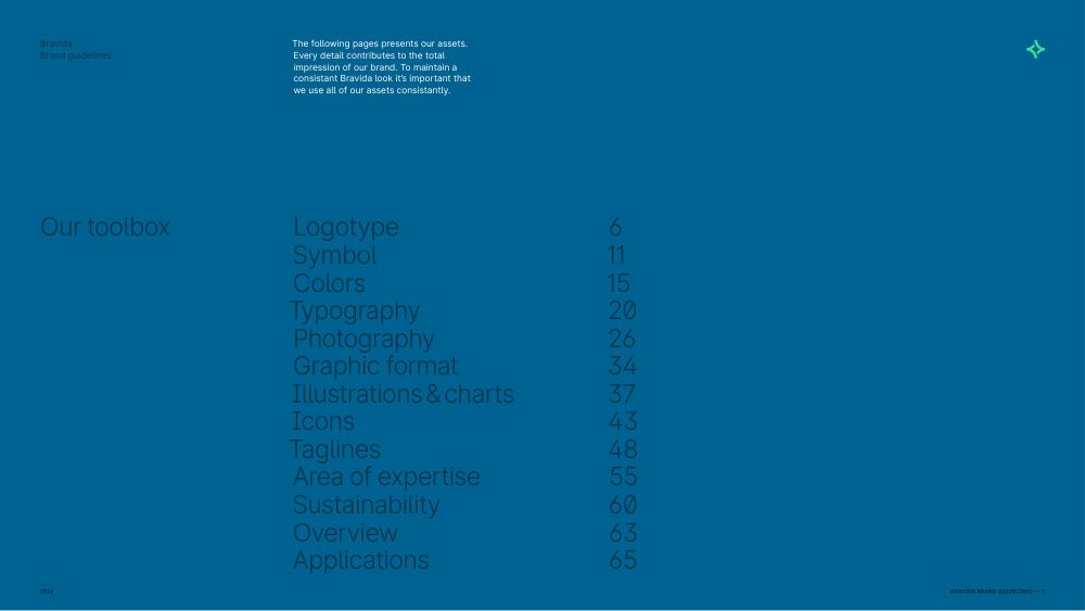 Bravida Brand Guidelines 2021, page 5